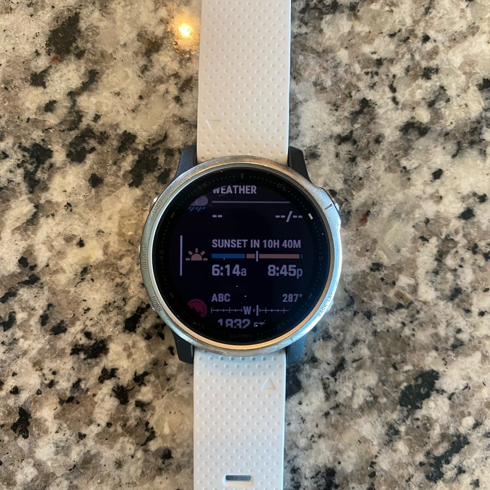 Garmin Fenix 6S